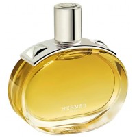 Hermes Barenia Intense