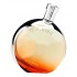 Hermes Eau Des Merveilles 10th Anniversary Edition фото духи