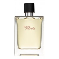 Hermes Terre D' Pour Homme