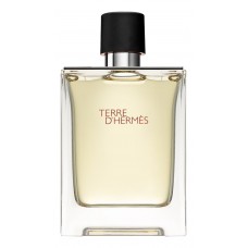 Hermes Terre D' Pour Homme фото духи