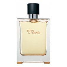 Hermes Terre D' Pour Homme фото духи