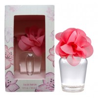 HOLLISTER Addison Sunrise