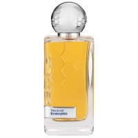 Hormone Paris Endorphin