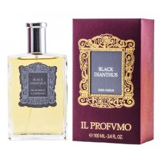 IL Profvmo Black Dianthus