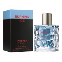 Iceberg Burning Ice Iceberg Burning Ice
