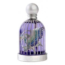 J.Del Pozo Halloween Tropical фото духи