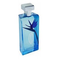 Jivago Joseph  for men Jivago Joseph  for men