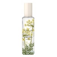 Jo Malone Hemlock & Bergamot