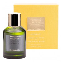 Laboratorio Olfattivo Bergamotto Laboratorio Olfattivo Bergamotto