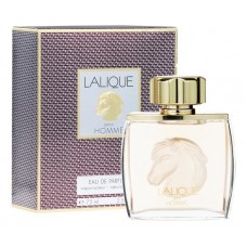Lalique Pour Homme Equus фото духи