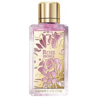 Lancome Rose Peonia Lancome Rose Peonia