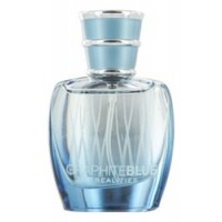 Liz Claiborne Graphite Blue by Realities