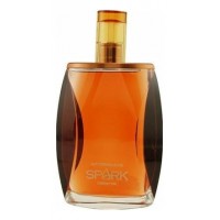 Liz Claiborne Spark for men