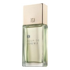 Loewe Agua De фото духи