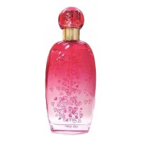 Love Passport Rosy Sky Happiness Love Passport Rosy Sky Happiness