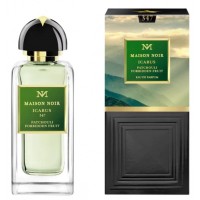 Maison Noir Icarus 347