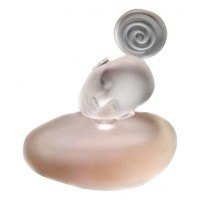 Sculptures Olfactives (Majda Bekkali) Songe Pour Elle