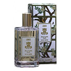 Maria Candida Gentile Leuco фото духи