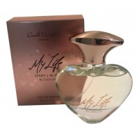 Mary J.Blige My Life Blossom