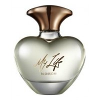 Mary J.Blige My Life Blossom