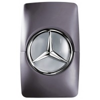 Mercedes-Benz Man Grey