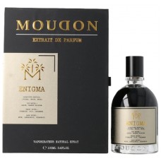 Moudon Enigma