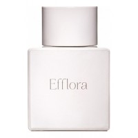 Odin Efflora Odin Efflora