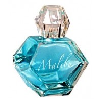 Pamela Anderson Malibu Day Pamela Anderson Malibu Day