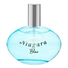 Parfums Genty Niagara Blue фото духи