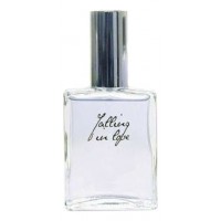 Philosophy Falling in Love