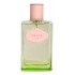 Prada Infusion d'Iris L'Eau d'Iris фото духи