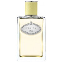 Prada Infusion De Gingembre