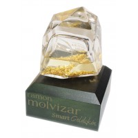 Ramon Molvizar Smart Goldskin
