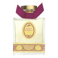 Rance Rue  Maquis Provencal Rance Rue  Maquis Provencal