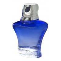 Rasasi Instincts Pour Homme Rasasi Instincts Pour Homme