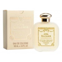 Santa Maria Novella Calicantus Santa Maria Novella Calicantus