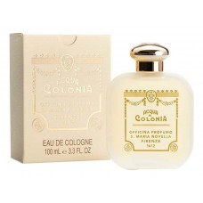 Santa Maria Novella Calicantus