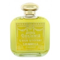 Santa Maria Novella Calicantus Santa Maria Novella Calicantus