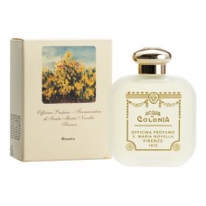 Santa Maria Novella Ginestra фото духи