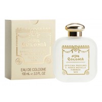 Santa Maria Novella Muschio