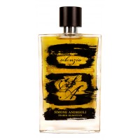 Simone Andreoli Silenzio