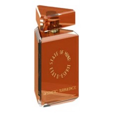 State Of Mind Aesthetic Turbulence