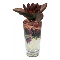 Syed Junaid Alam Banafsaj Night Syed Junaid Alam Banafsaj Night