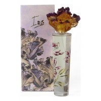 Syed Junaid Alam Iris