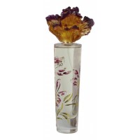 Syed Junaid Alam Iris