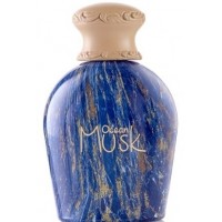 Syed Junaid Alam Ocean Musk Syed Junaid Alam Ocean Musk