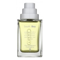 The Different Company South Bay