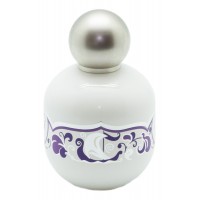 The Vagabond Prince Swan Princess