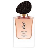 Tree Of Life Illuminating Rose