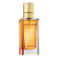 Weil Antilope Weil Antilope